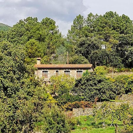 Casa Rural En Candeleda Con Piscina Y Un Maravilloso Jardin Экстерьер фото