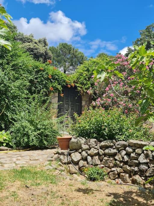 Casa Rural En Candeleda Con Piscina Y Un Maravilloso Jardin Экстерьер фото