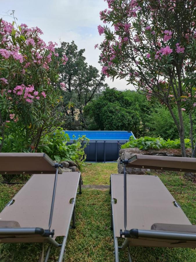 Casa Rural En Candeleda Con Piscina Y Un Maravilloso Jardin Экстерьер фото