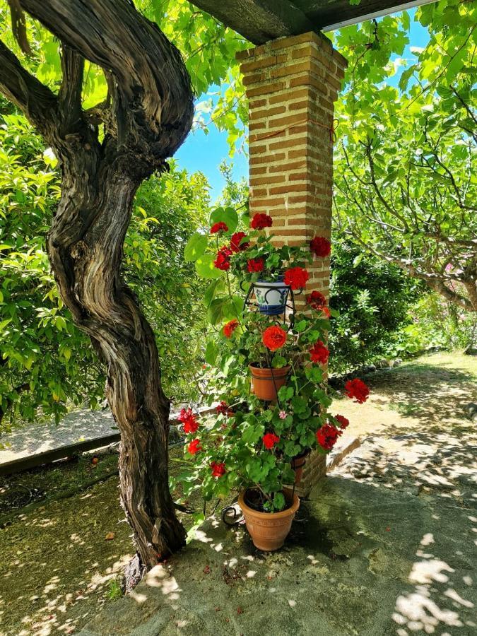 Casa Rural En Candeleda Con Piscina Y Un Maravilloso Jardin Экстерьер фото