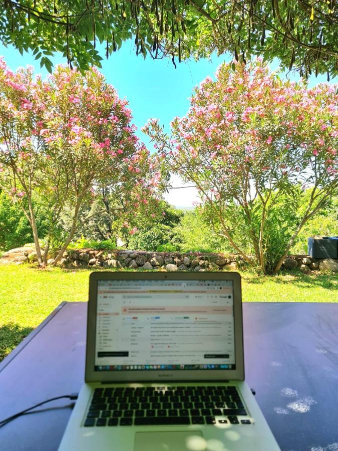 Casa Rural En Candeleda Con Piscina Y Un Maravilloso Jardin Экстерьер фото