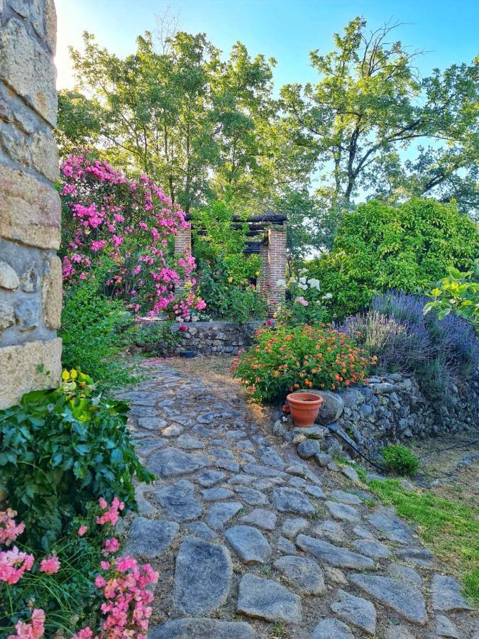 Casa Rural En Candeleda Con Piscina Y Un Maravilloso Jardin Экстерьер фото