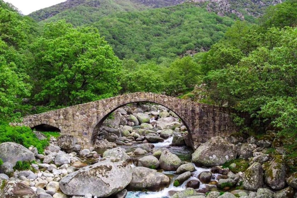 Casa Rural En Candeleda Con Piscina Y Un Maravilloso Jardin Экстерьер фото