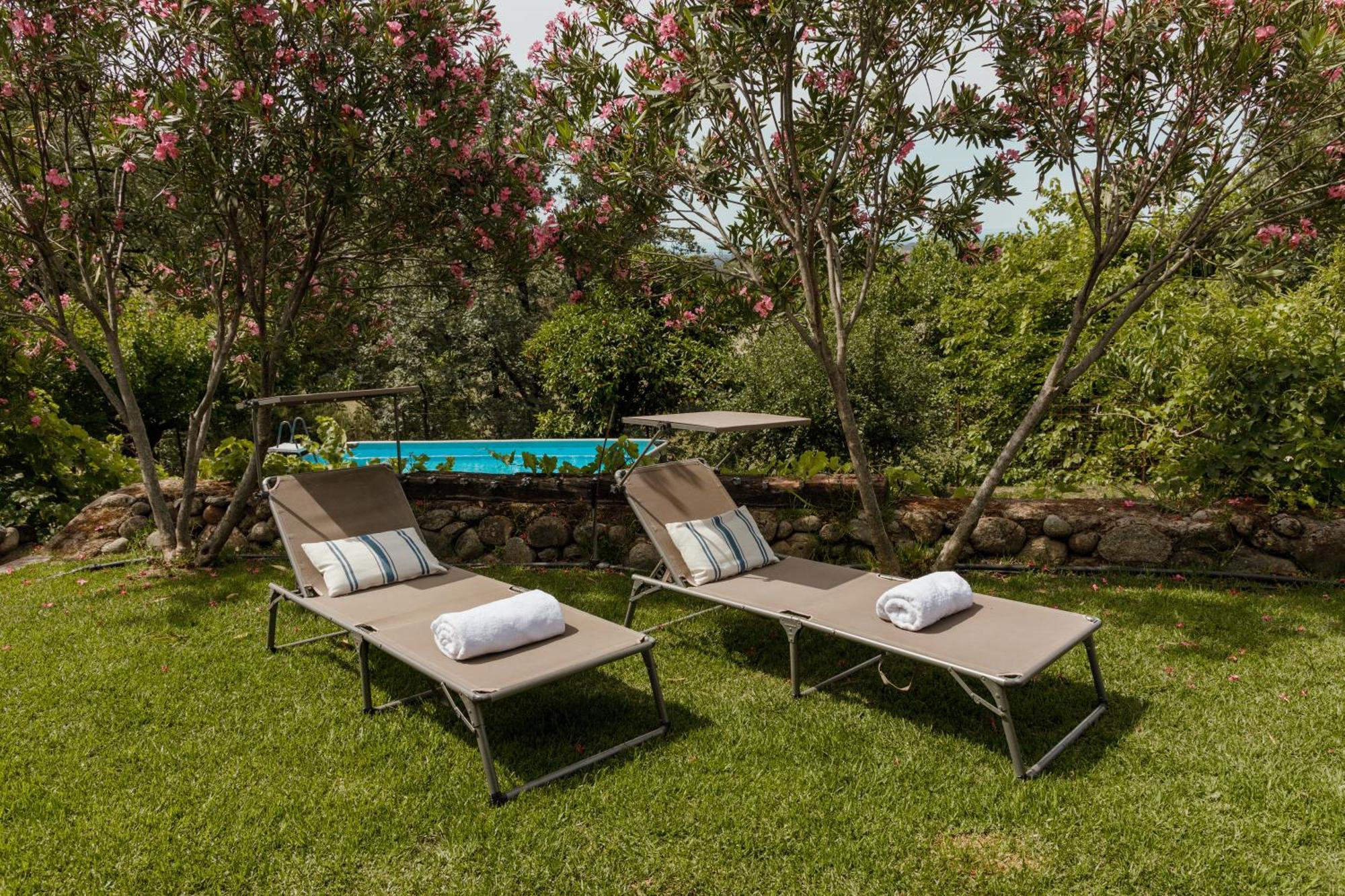 Casa Rural En Candeleda Con Piscina Y Un Maravilloso Jardin Экстерьер фото