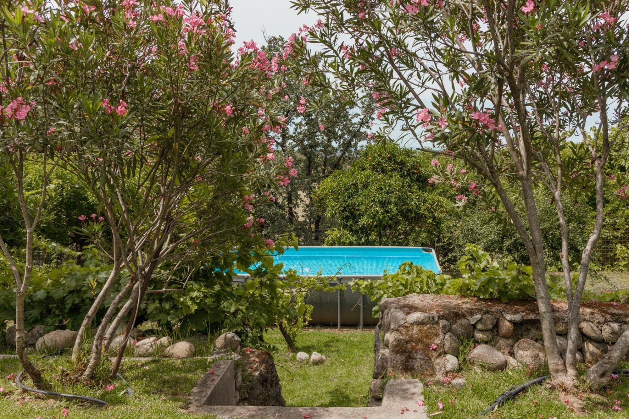 Casa Rural En Candeleda Con Piscina Y Un Maravilloso Jardin Экстерьер фото