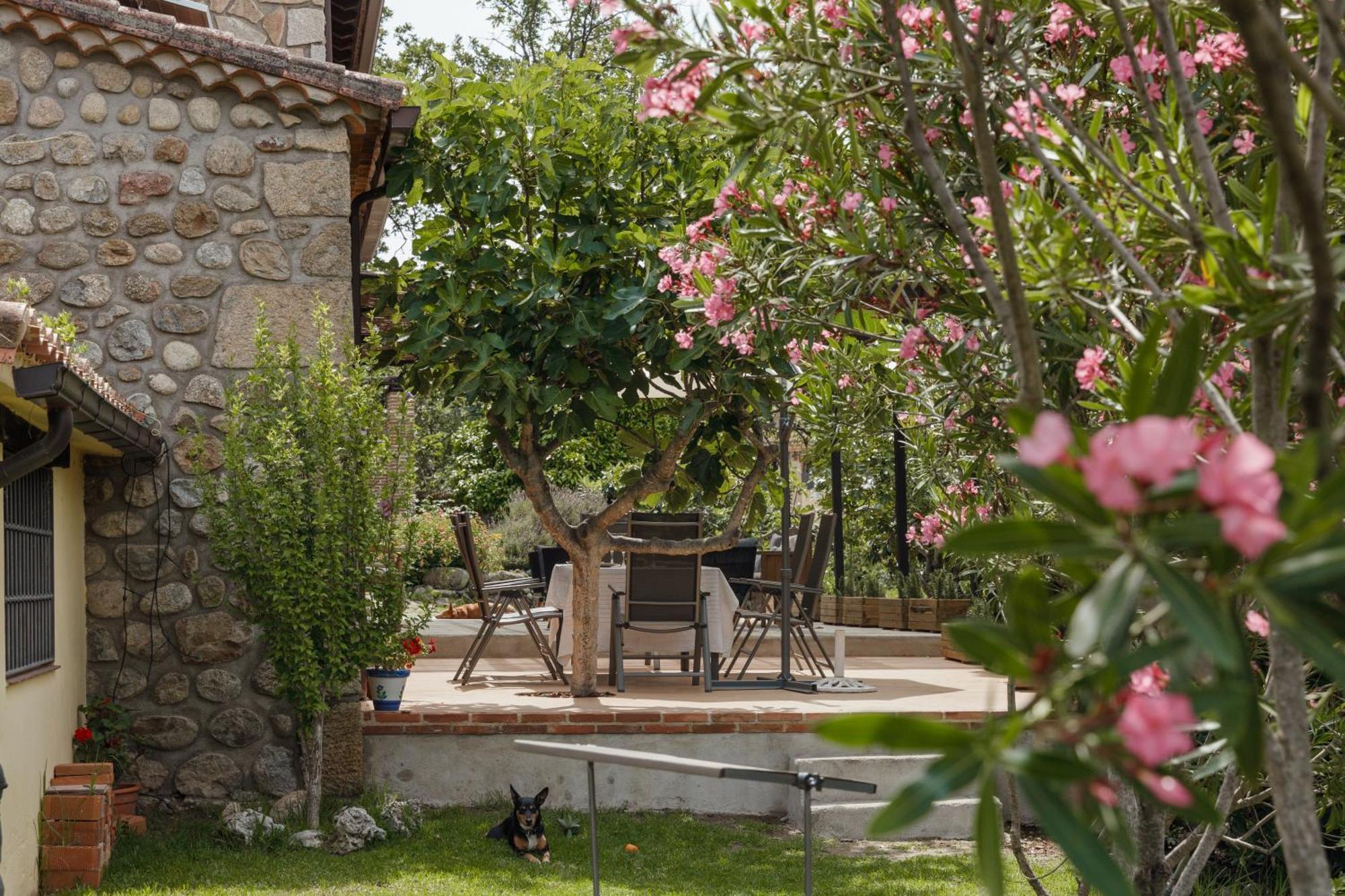 Casa Rural En Candeleda Con Piscina Y Un Maravilloso Jardin Экстерьер фото
